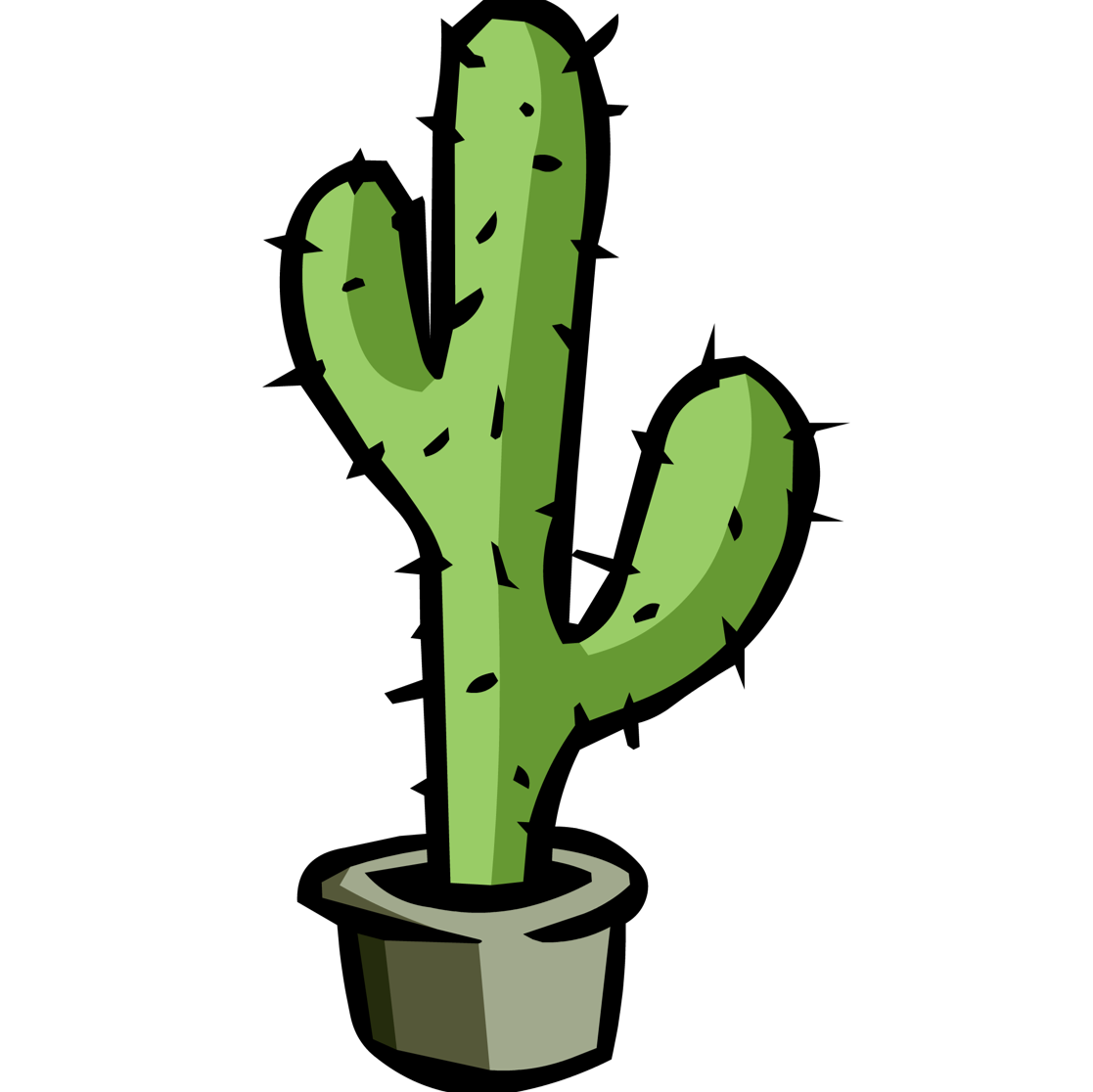 cactus